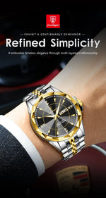 POEDAGAR Royal Steel Watch