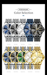POEDAGAR Royal Steel Watch
